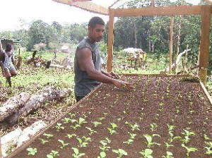 agriculture.jpg